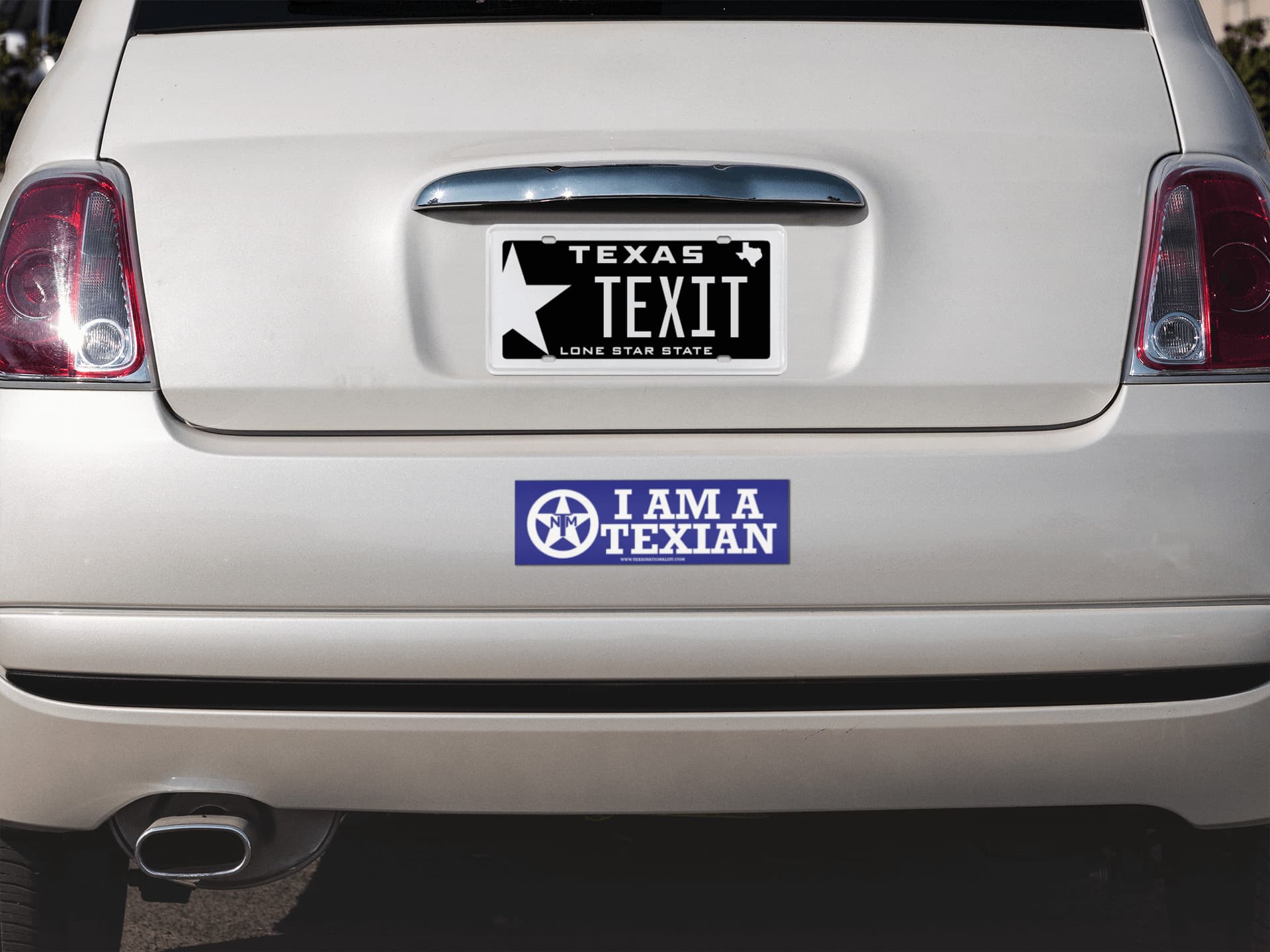 I AM A TEXIAN Bumper Sticker